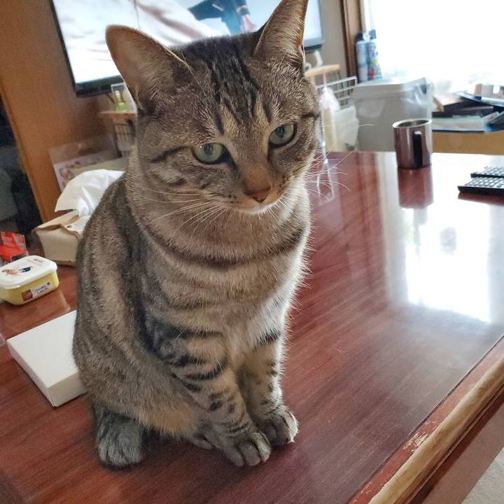 B7ad3ce9 c2ad 438b ba3c 810f656b55dc 1703676210248