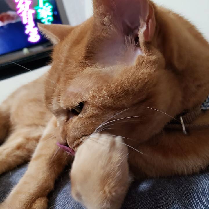 B7ad46d9 4a90 4ed4 a9f1 38c1e5f2067f 1720315512467