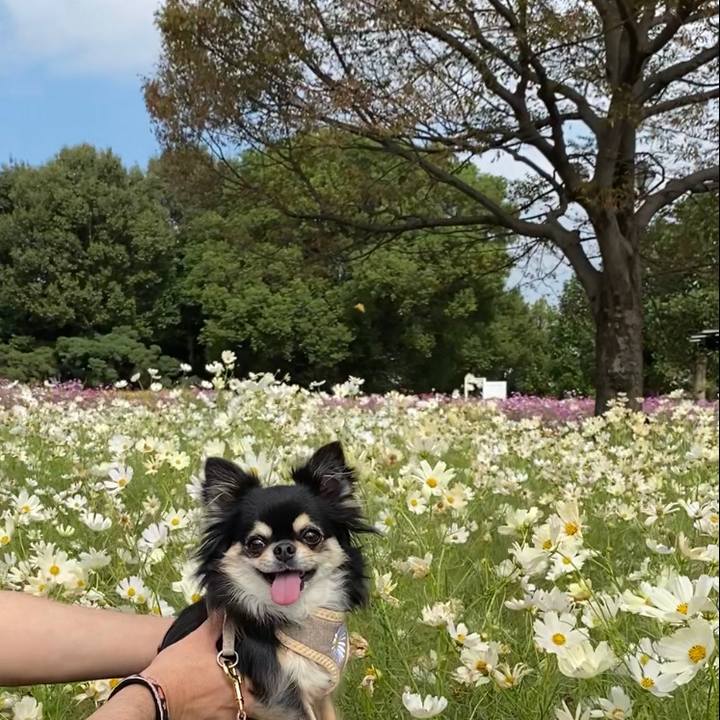 B7adacf9 a38c 4b28 a8ce 8e955c3ff673 1634360485773