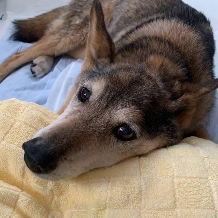 B7adbd02 9d50 4c80 b1c2 ad692b2a2533 1617451109295