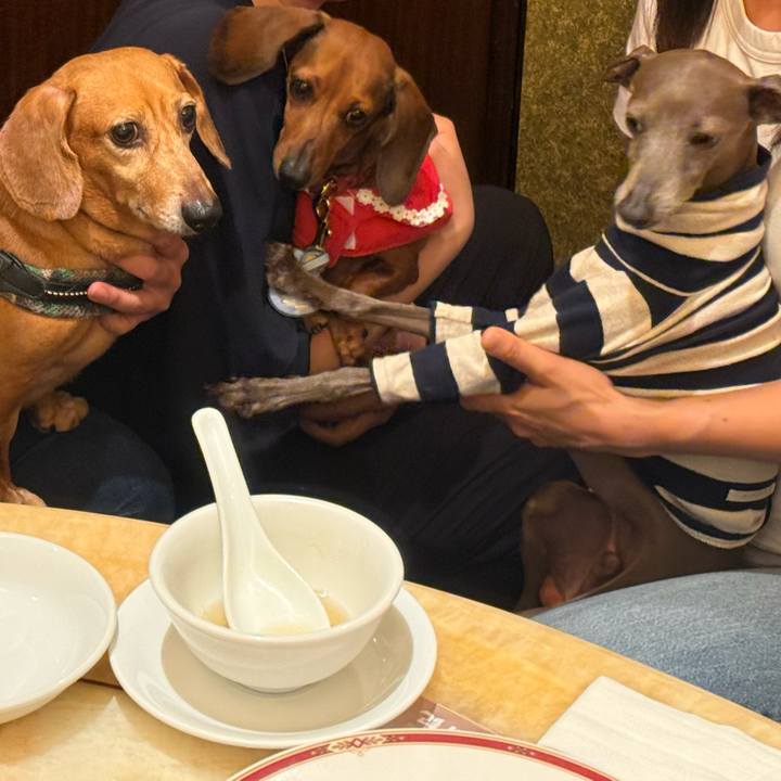 B7adc104 35c5 4c70 8931 6c5fb7130eef 1760601693442