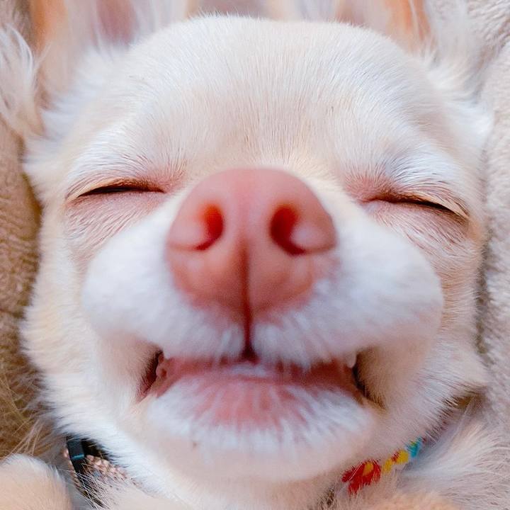 B7adf66d ee7b 45a0 bda2 794bdc6150d7 1612854872545