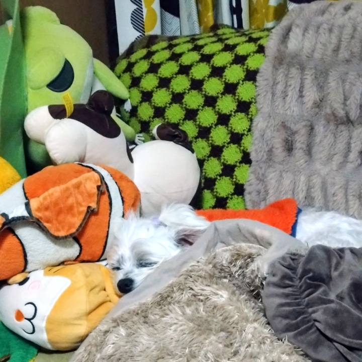 B7ae13f6 84e7 4cb5 9d7a 7f39978cd6e1 1768344447996