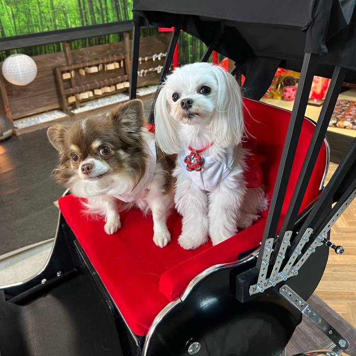 B7ae415a f8e8 4424 8a9c 898ae049d606 1700177964479