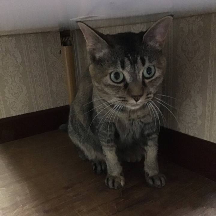 B7ae609b 6127 40d9 925f 8fd5e92089de 1658488501674