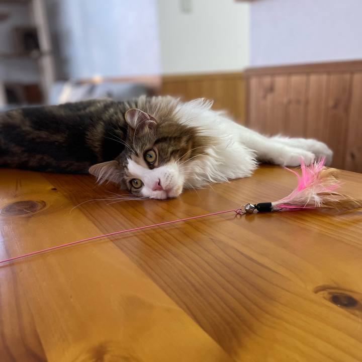 B7ae9f98 18c5 42a4 9718 cba28969cb4c 1646862703652