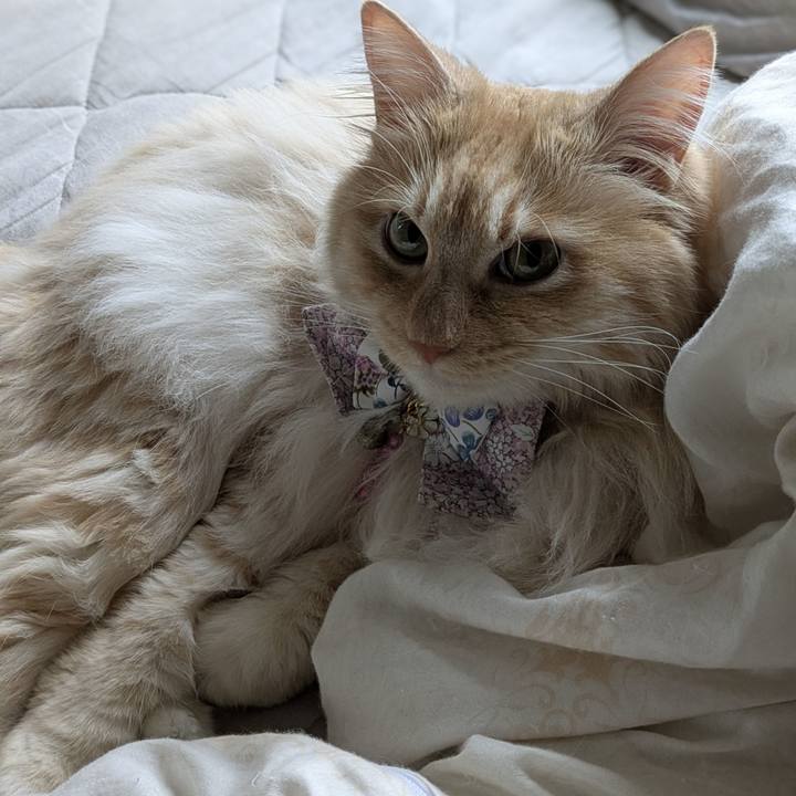 B7aeaba7 b6f1 490c 8622 ea718ee06f77 1749606171585