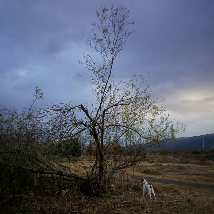 B7aec012 b7f1 427b 89a8 ee25aa95a072 1514160221487