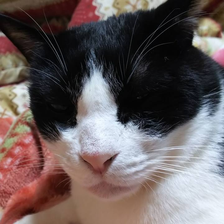 B7aeed29 cab6 4302 b105 05d77ceb267e 1573258272264