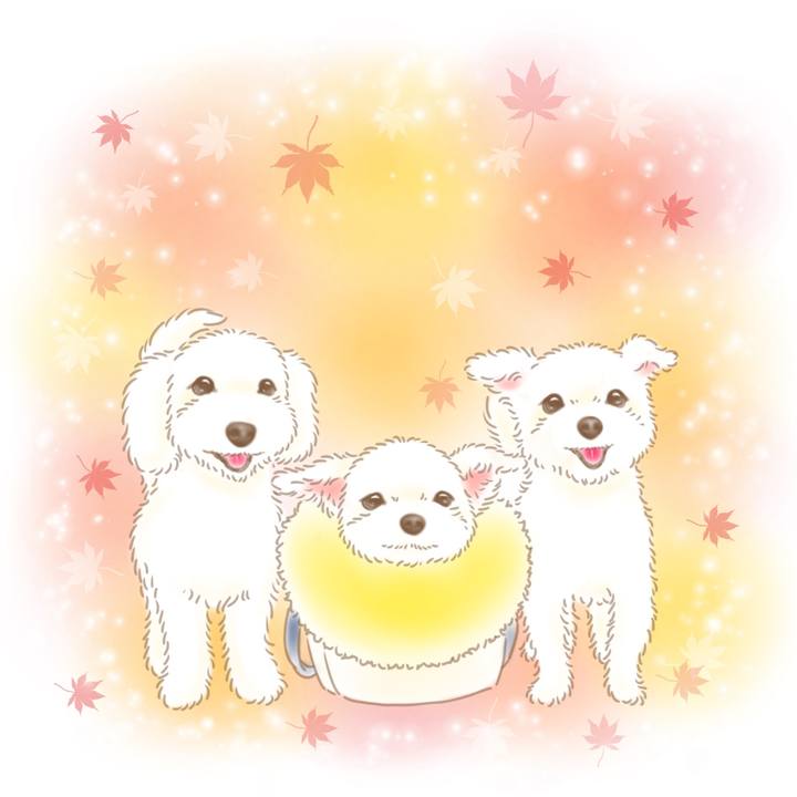 B7af0356 78df 4e8b 8274 f9875b3ba615 1699080457340