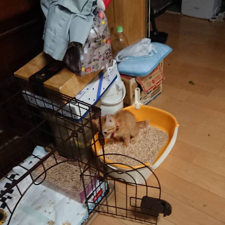 B7af2a54 645c 4f98 9f17 764f09599ff3 1628717693067