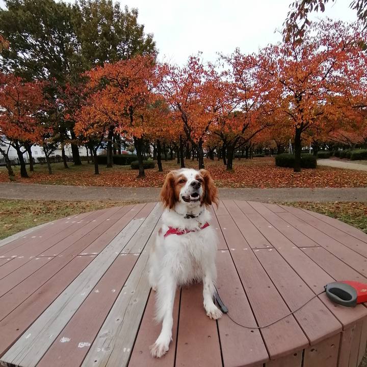 B7af5ef0 027a 4a4d a66b b27881ccde3d 1574422781047