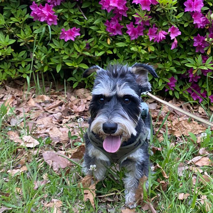 B7af6984 30fe 475f 9d37 30f6a60e5f84 1588000737249