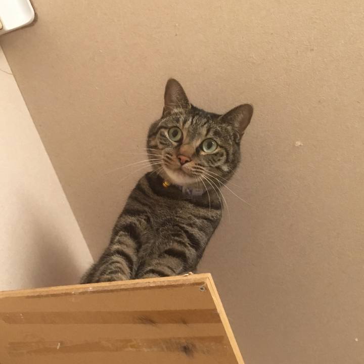 B7af88fd 6348 4192 acb1 3300aaee3553 1545485798003