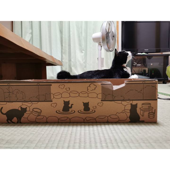 B7afa316 dead 4651 9fd3 55c7b0b1e4ef 1655956175666