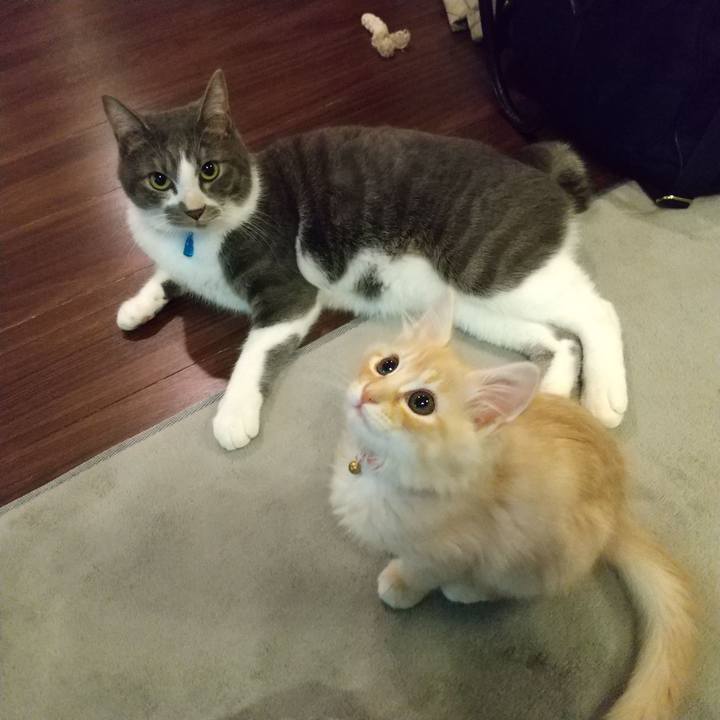 B7afe64f c56f 47bf 9c80 4edf2a2fb03c 1604920922723