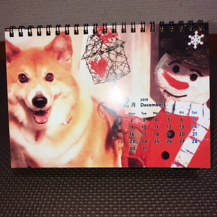 B7aff334 111c 4bf5 b0f7 b85d8ff9167a 1575461056457