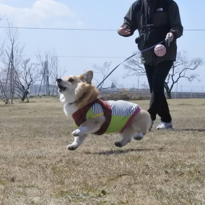 B7b089ba 00f2 429c 94fd 86dca151de75 1554649180696