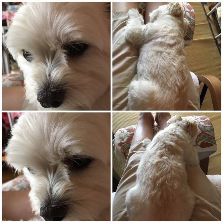 B7b08fb8 0877 4a1f 952c 1f55789c1390 1527920017066