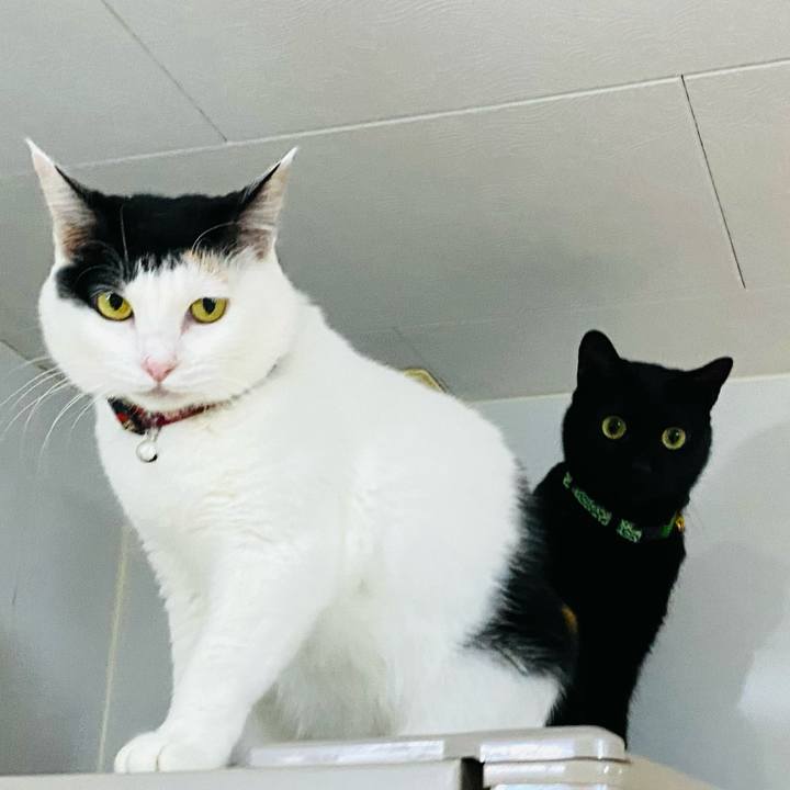 B7b0a357 1f35 4b68 96c9 561deb0ced15 1674133152377