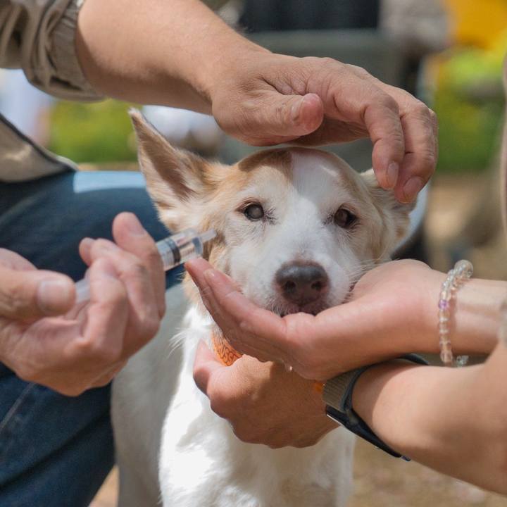 B7b0a3de 444d 45ed ad75 99b2add083df 1776522444909