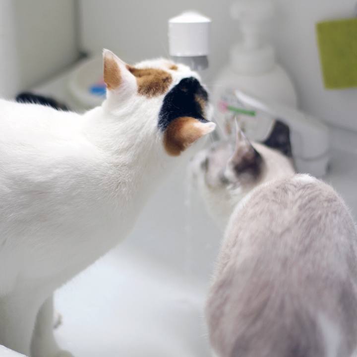 B7b0f4e2 3d7b 47c4 be40 5b561db57be4 1610422772172