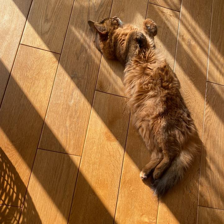 B7b1516f 2505 4def a814 381f8a17c012 1669080159802