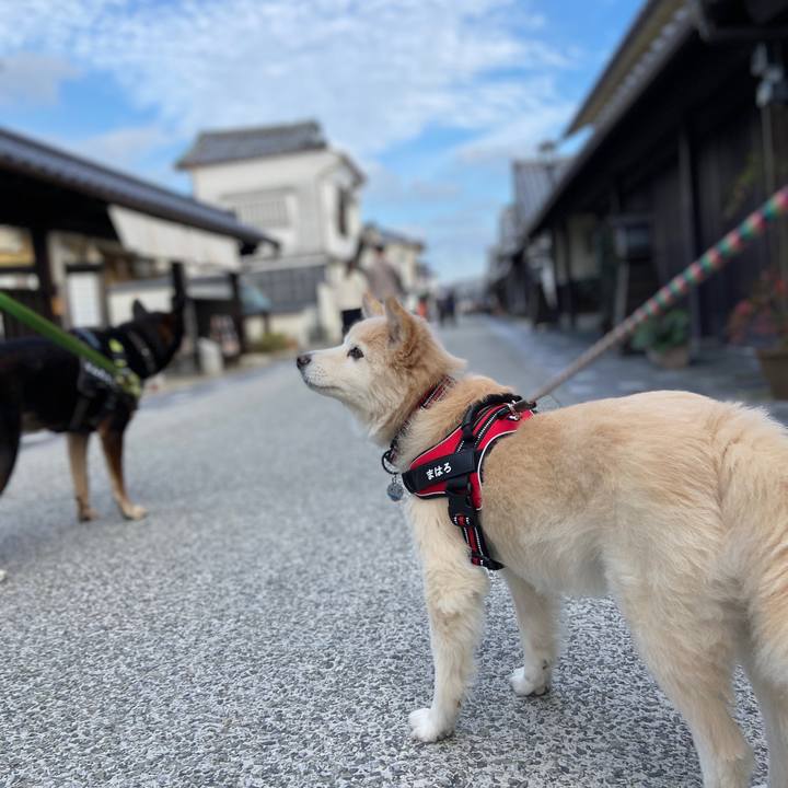 B7b180cf aa60 4e5d 80a5 0b139e10a6c8 1700877672039