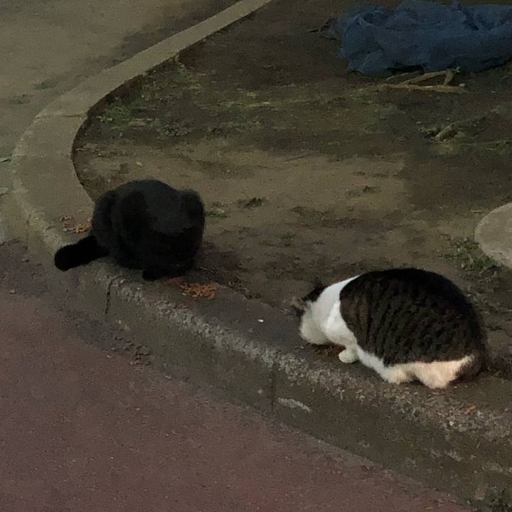 B7b1a122 82af 4919 ab5e 38ffb2d1d98a 1552944838237