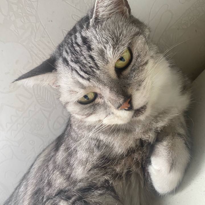 B7b1c6a3 1be5 43e9 9502 995d20f6734e 1725294571106