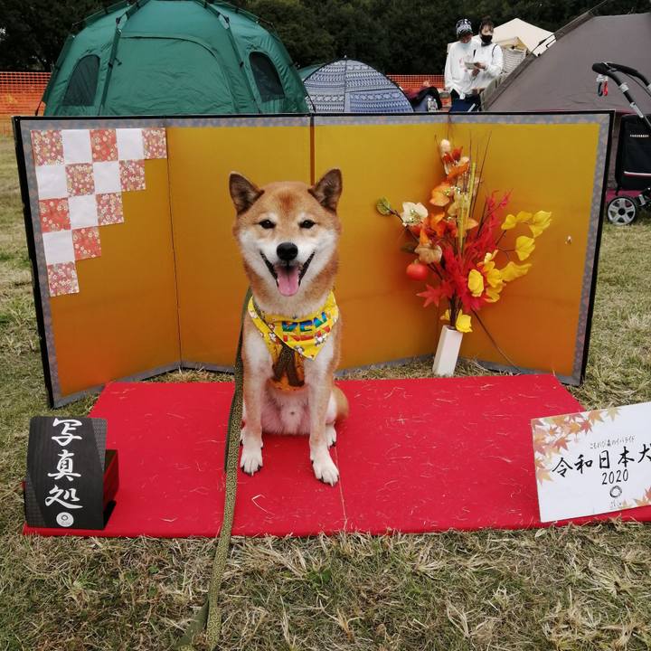 B7b1d999 87cd 4efb 9944 e1c313062a47 1604842212620