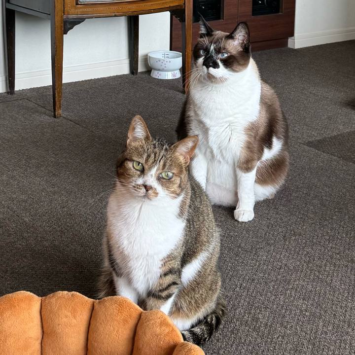 B7b1e016 0ddd 4450 84e5 f24da0aeab84 1714778416956