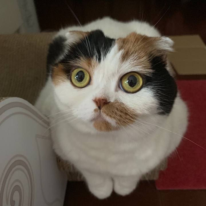 B7b1ecee a81b 4a3c 8b15 bae6a356b857 1564646681574