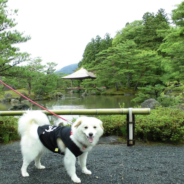 B7b1f3da 584b 48be b4d1 437535ad6e07 1550242960549