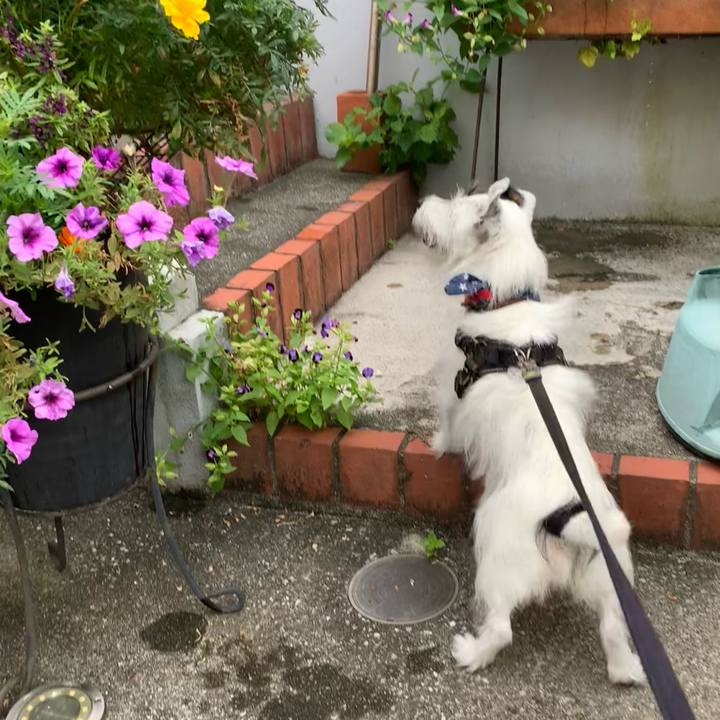 B7b244c0 bca3 4b97 8522 a084a062fb6b 1756594741817