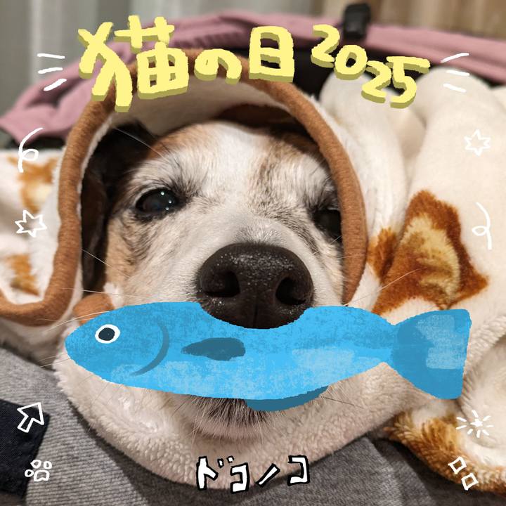 B7b24aa2 07ae 4b55 a745 8b7bdbfcc39f 1740105406764