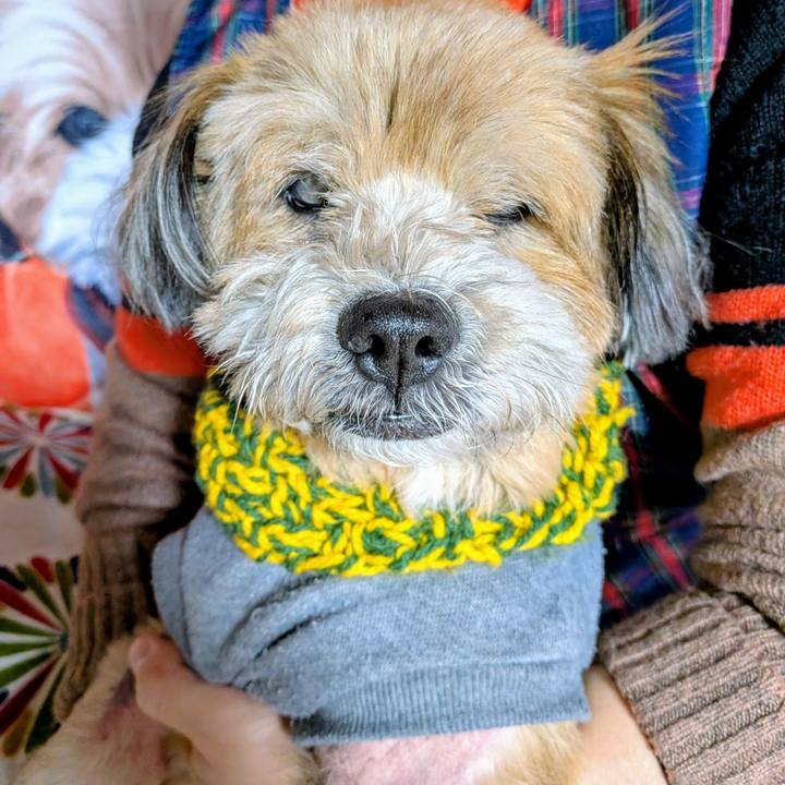 B7b260f3 17ea 46ef b222 fb19551be981 1770213388068