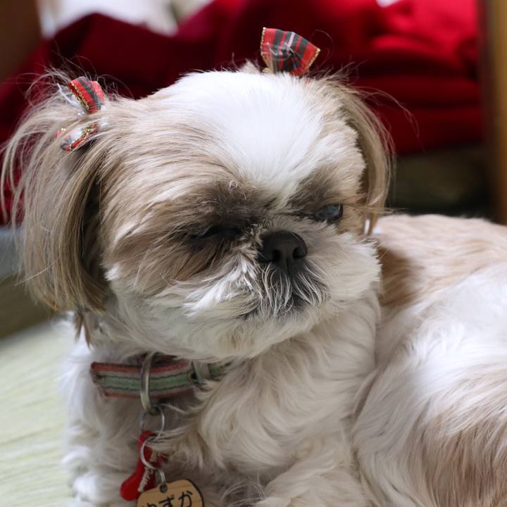 B7b2de51 0855 4560 996e 9d079b0466b0 1514282549950