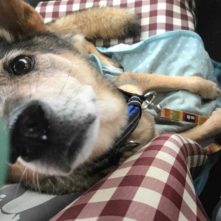 B7b311dd be79 4955 983b 59f15ec68e90 1539347239051