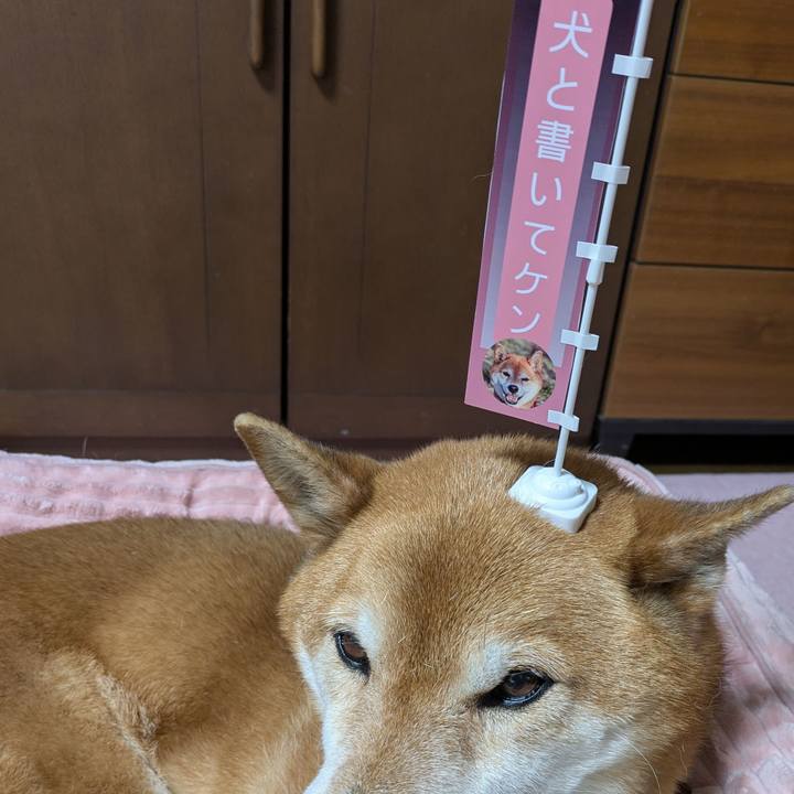 B7b3437c 1807 4fca a0be fb8c01bf396b 1742120124100