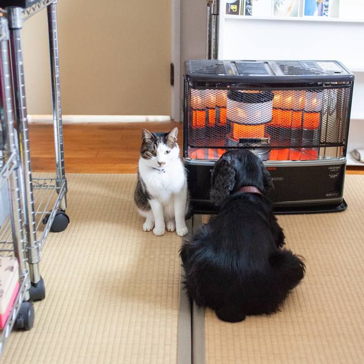 B7b36f64 adad 47c8 903e c41f80459627 1577241500822