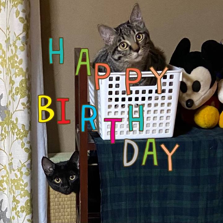 B7b38c3f ea23 4a38 8fe7 e0203c28b584 1694604385781