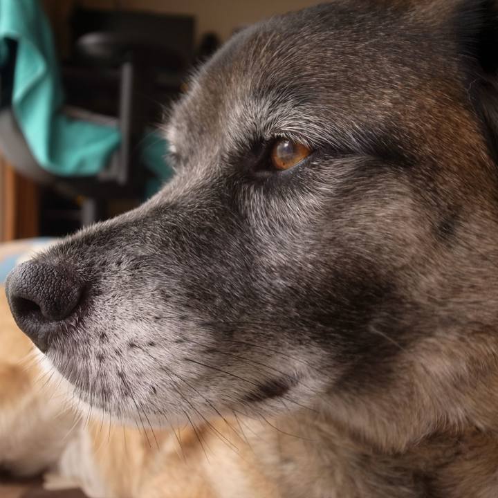 B7b38d65 d265 418e a13f c6da060d564d 1586306151436