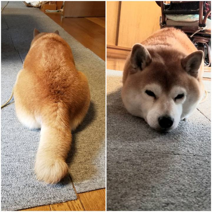 B7b3a4cf 578c 40de b5bf 8e4b08e9eda6 1605139342656