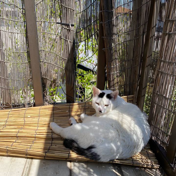 B7b3b334 1af5 4f79 9b8c 338c53c5341b 1586259139156