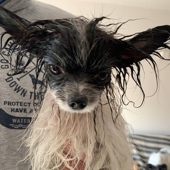 B7b3d2d9 e3ff 4c02 887d 3712d6b0d51b 1646451691591