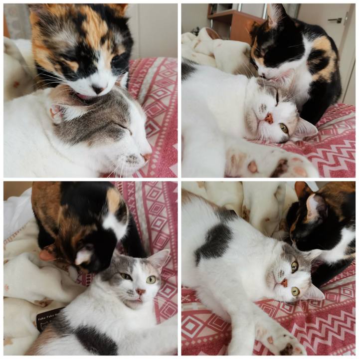 B7b44811 2744 4149 b783 fd7aff97bf18 1619943025817