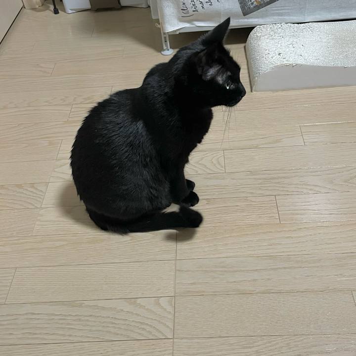 B7b467df f052 4807 a06e 88ddbf7bdbd3 1744116419679