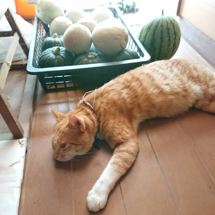 B7b49bfe 96c4 42ab bcea b5d5b7ed8696 1565402083711