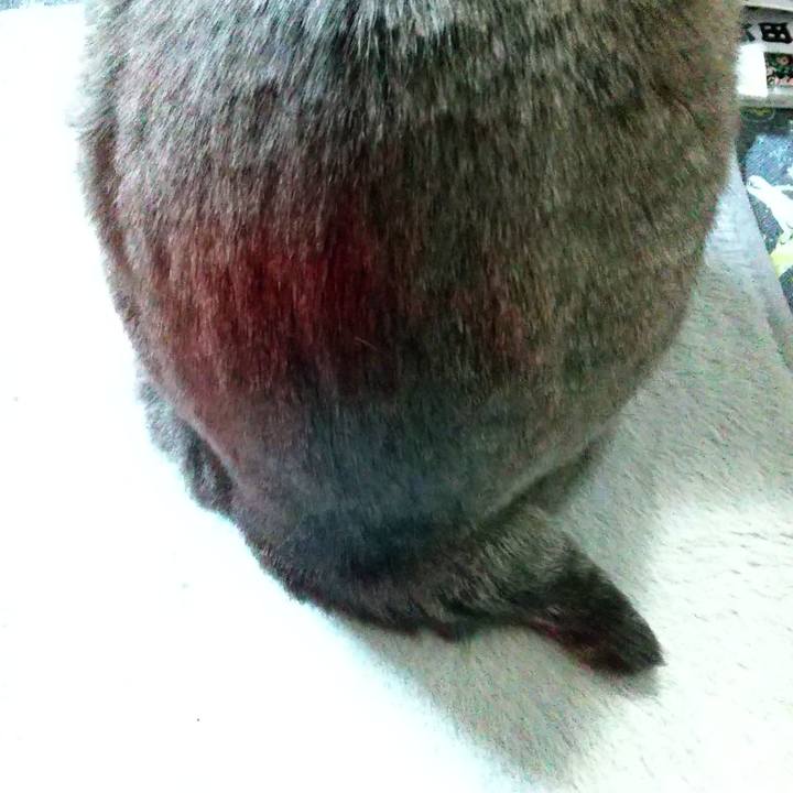 B7b4b565 6150 4341 a2df e97ee369f614 1637264662339